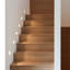Standush Plastic LED Flush Mounted Sconce