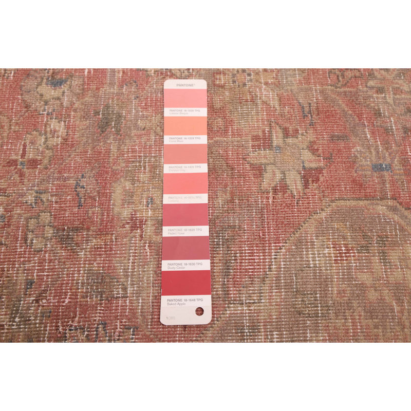 Tapis corail Antalya 9 pi 8 po x 12 pi 1 po