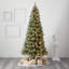 Arbre de Noël pin vert givré 10 'avec 850 lumières DEL H 10'-20202536