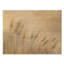 Décoration murale Neutre Pampas Field II - Bohème-1062779079-1062779081