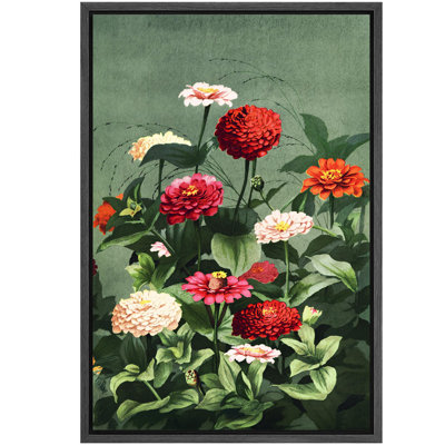 Zinnia vibrant, champ, illustrations botaniques, campagne française rustique