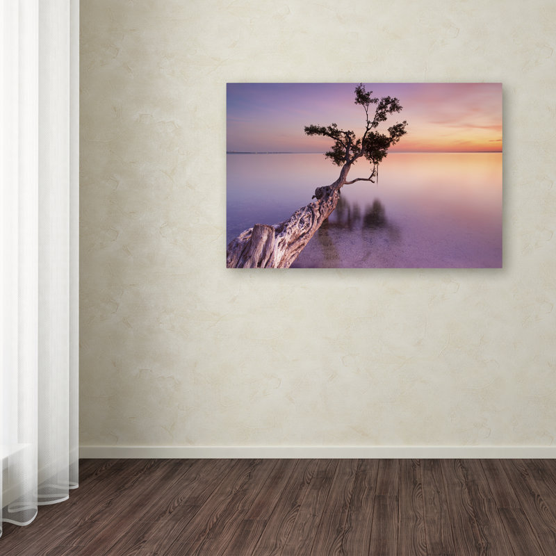 Moises Levy Sunset Tree Landscape Canvas Print
