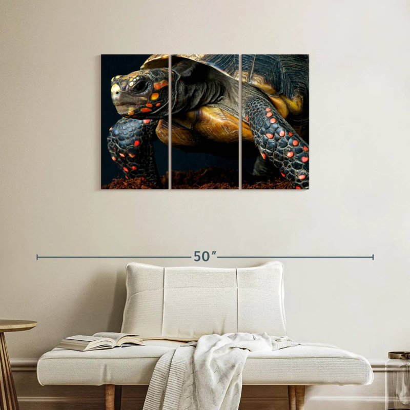 Brampt Amazon Red Footed Tortoise, 24" H x 38" W