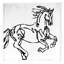 Line Equine 1 Print by Susan Gillette-2123314927-2123314926