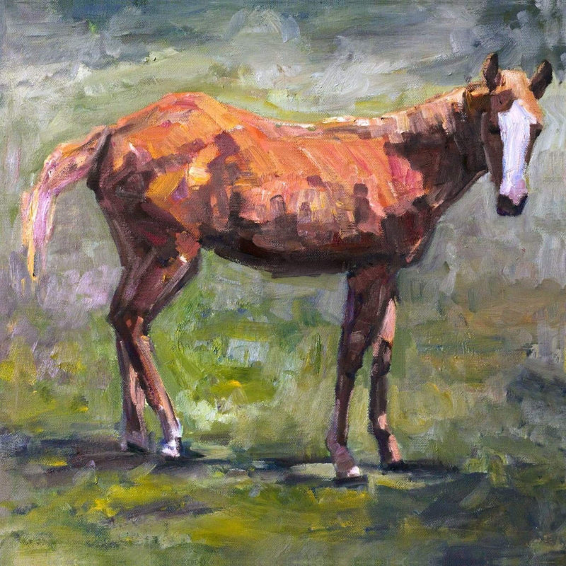 FOAL - Unframed Print on Canvas, 20" H x 20" W x 1.75" D, Brown Framed Canvas