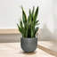 Pot de fleurs Crompond Fiberstone-27443074-27443076