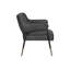 Vidyuth Lounge Chair