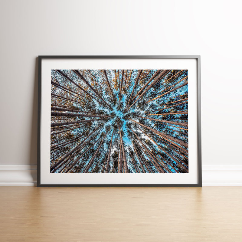 Vertical View Of Trees 1 by Vouvart - Single Picture Frame Print