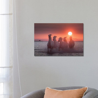 White Angels of Camargue XXIV 1 Piece Wrapped Canvas Wall Art