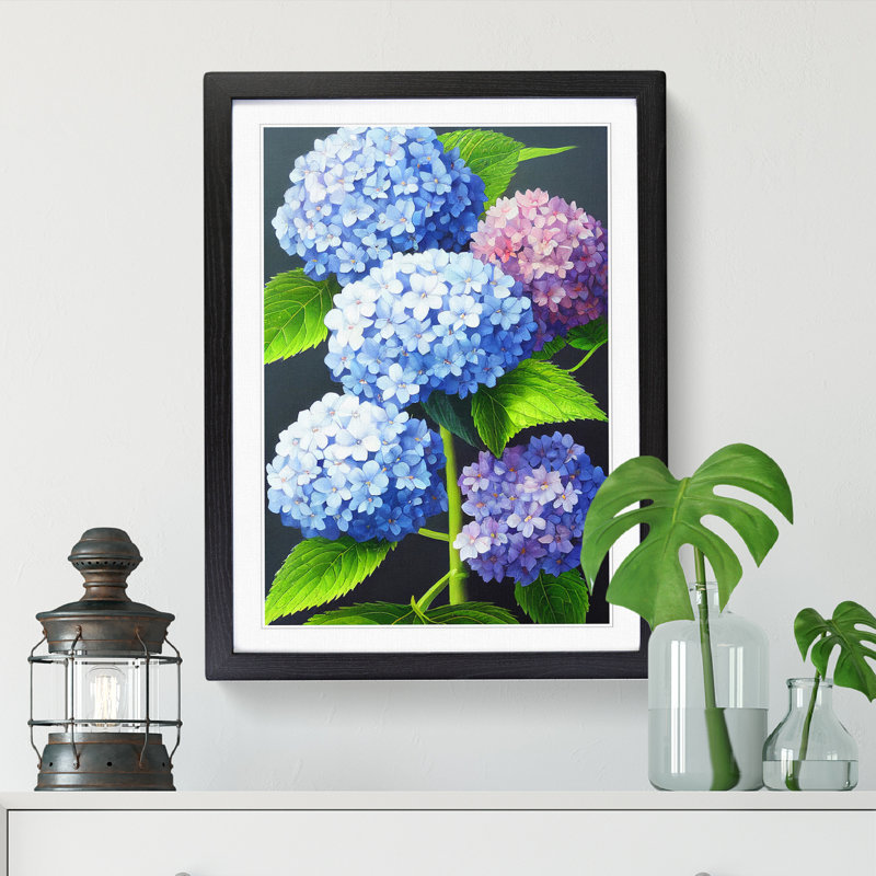 Masami Hydrangea Flower Painting Vol.1 - Picture Frame Print, Black, 64cm H x 46cm W x 2cm D
