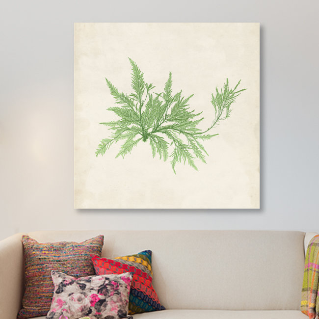 « péridot algues v », reproduction d’impression sur toile tendue, H 12 po x l 12 po x P 0,75 po, Toile tendue, Pas de tapis