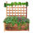 Alitta Handmade Wood Elevated Planter