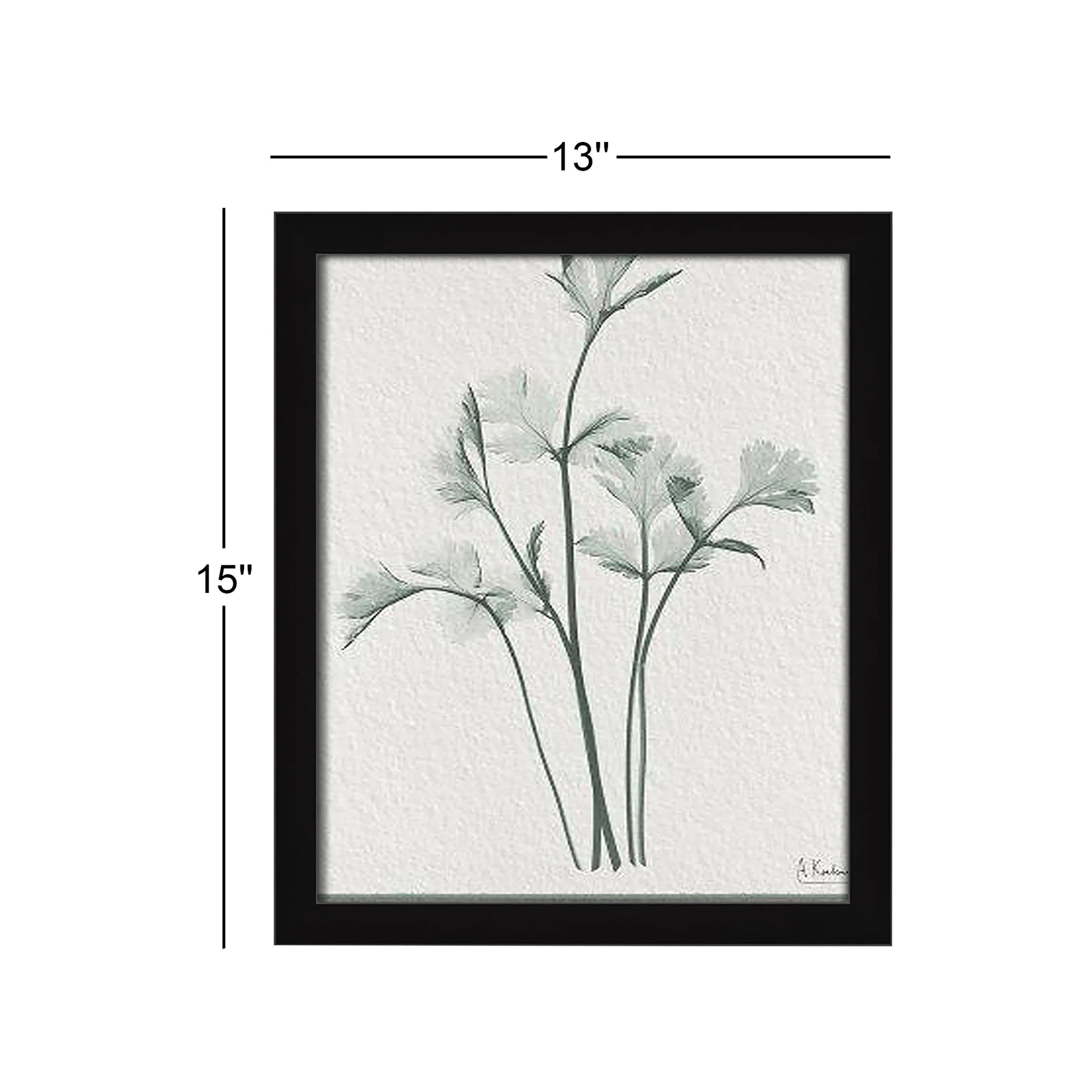 Parsley II Framed On Paper by Albert Koetsier Print, Satin Black Framed Paper, 15" H x 13" W x 1.25" D