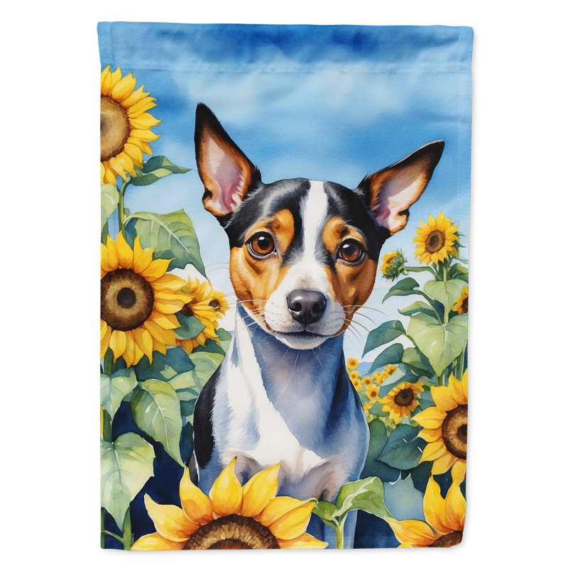 Lévrier irlandais dans le drapeau du jardin de tournesols, Terrier de rat
