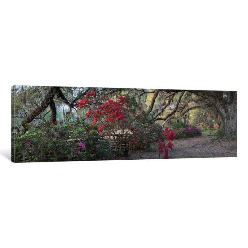 «Springtime Morning» par H.J. Herrera - reproduction d'art numérique sur toile tendue sur châssis panoramique, Toile tendue