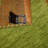 Onisha Cotton Rug