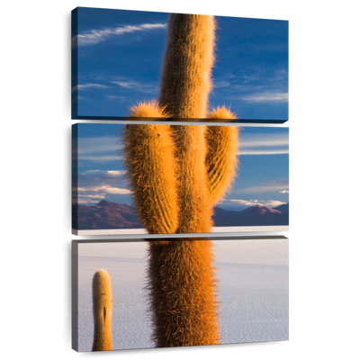 Cactus Alvord Isla Incahuasi