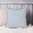 Blue Gingham I Modern-99601618