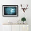 White Swan on a Blue Lake in Abstract - Picture Frame Painting Print-55612820-55612818