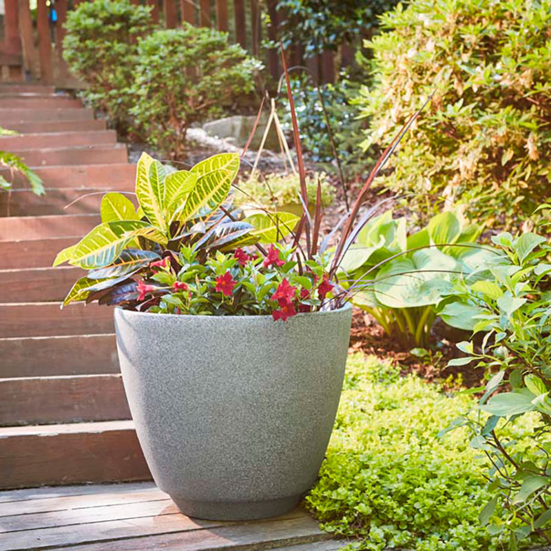 Pot Planter