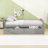 Yolanthe Twin Size Platform Bed with 2 Drawers-415818950