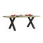 Babita Metal Base Dining Table