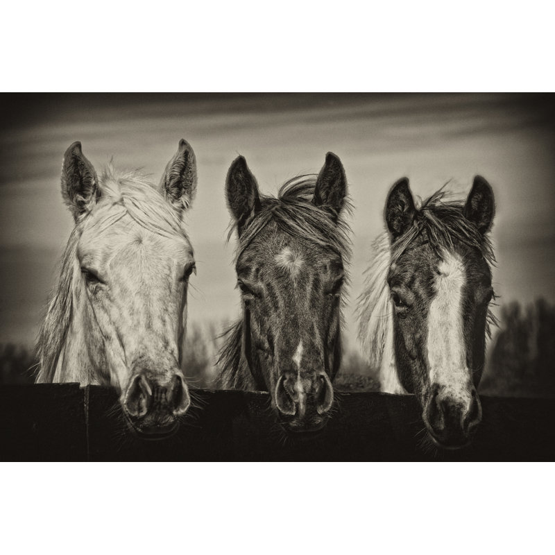 Three Amigos I by PHBurchett - Painting, 61 cm H x 91 cm W, Black Floater Framed