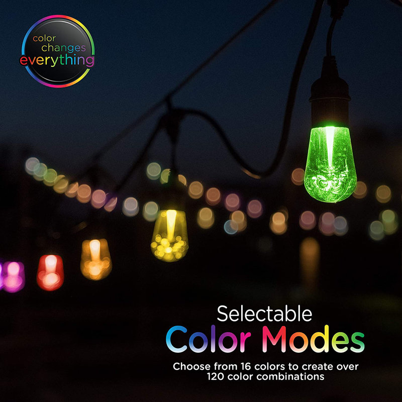24ft Black Outdoor Color-Changing Acrylic LED String Lights