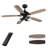 52'' Ceiling Fan with Light Kit