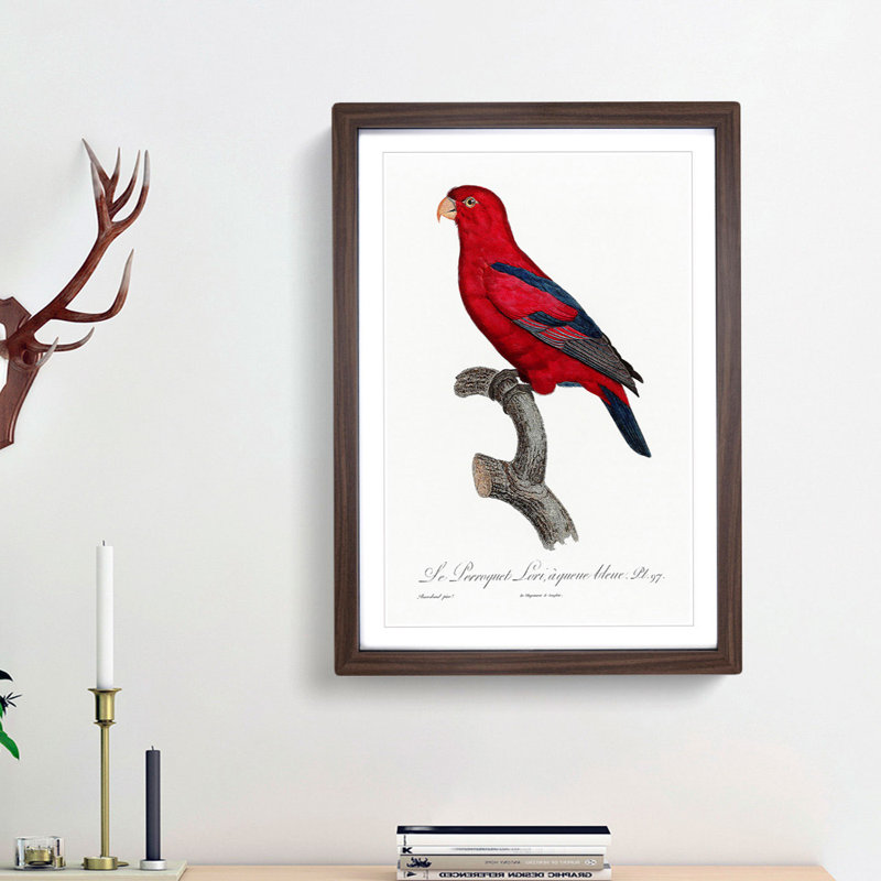 The Red Lory by F. Levaillant - Picture Frame Painting Print, 36cm H x 27cm W x 2cm D, Walnut Framed