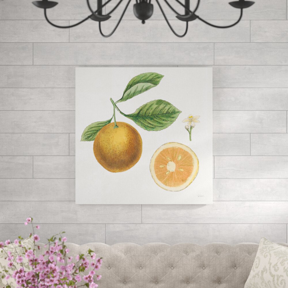 Leinwandbild Classic Citrus IV von Sue Schlabach