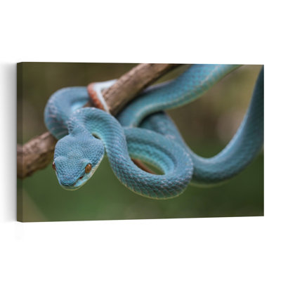 Blue Viper'S Gaze Abstract Contemporary Snake Forest Landscape Wall Art Print 1 Piece Wrapped Canvas Wall Art