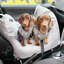  Siège d'auto pour chien First Class, gris-1489915654