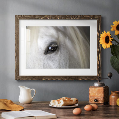 Balearic Island Horse, impression sur papier