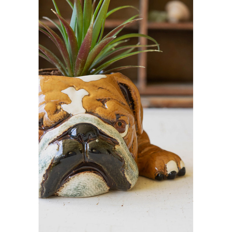  Pot à fleurs décoratif en forme de bouledogue en céramique - 4 po de hauteur