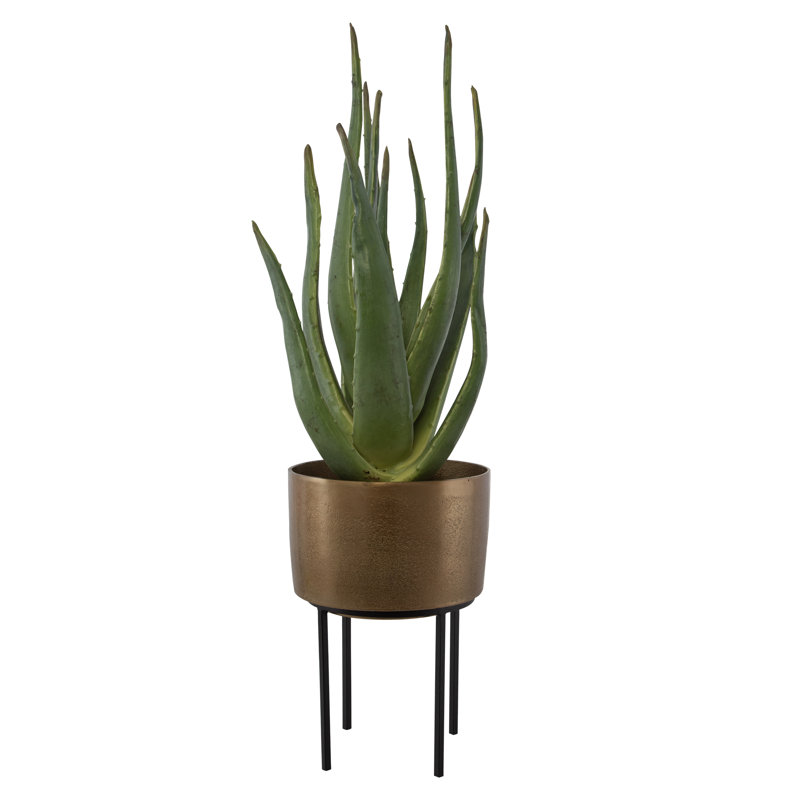 Primrue 37'' Faux Aloe Plant in Cement Pot | Wayfair