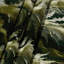 Tapisserie murale légumes-133639240