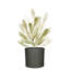 Carlis Ceramic Pot Planter