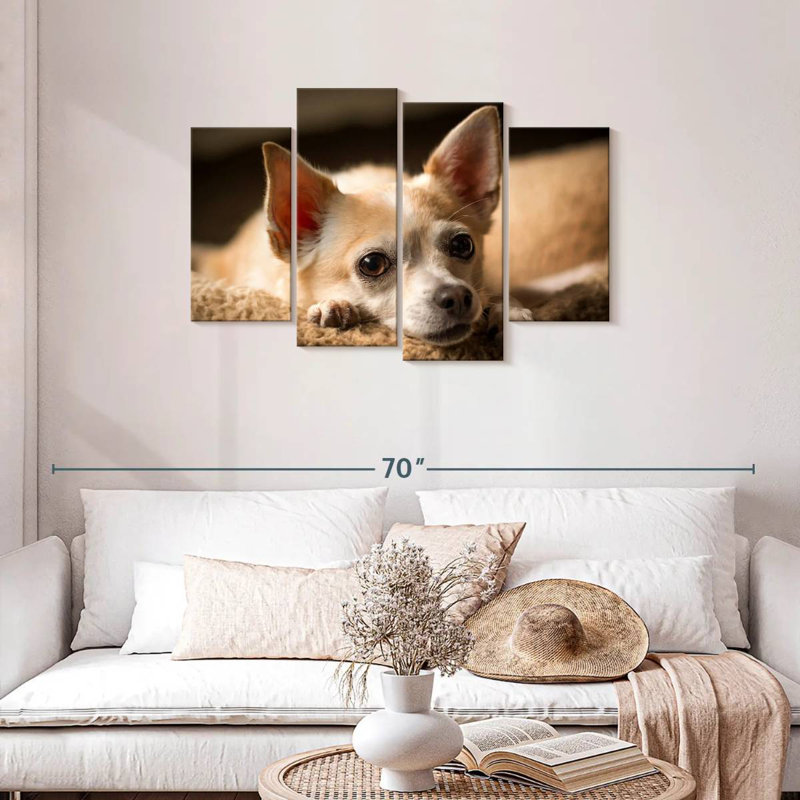 Brampt Resting Chihuahua, 27" H x 43" W