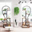 Adalynd Plant Stand