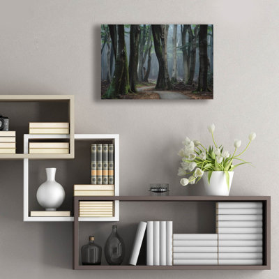  «Winding Through The Trees» par Martin Podt, art mural en verre acrylique, 24 po x 16 po