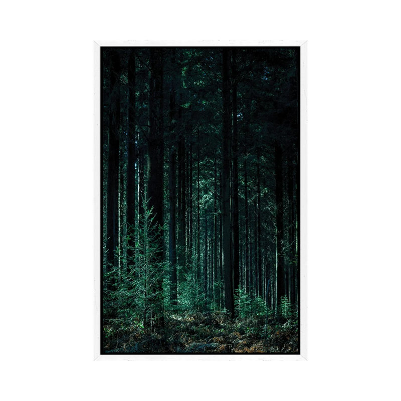 Deep Green - Print on Canvas, 66.04 cm H x 45.72 cm W, White Framed