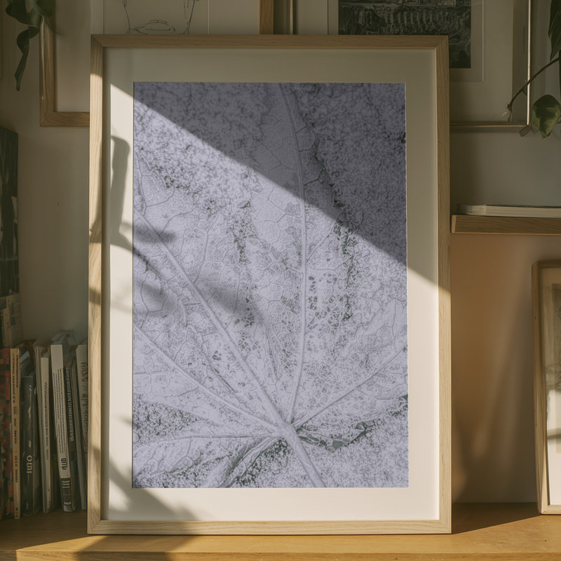 1 Piece Wrapped Canvas Wall Art
