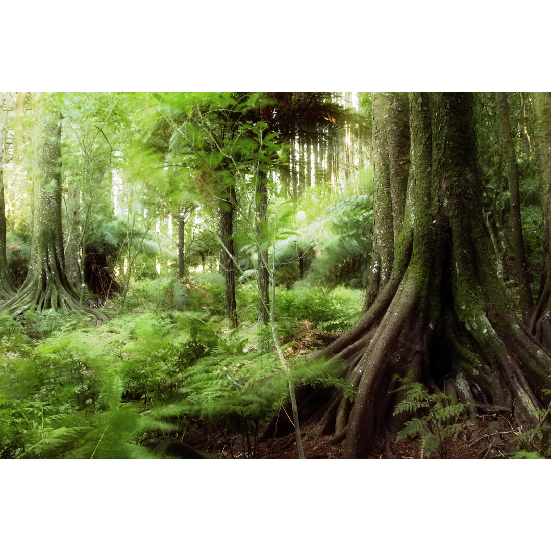 Jungle - Wrapped Canvas Print