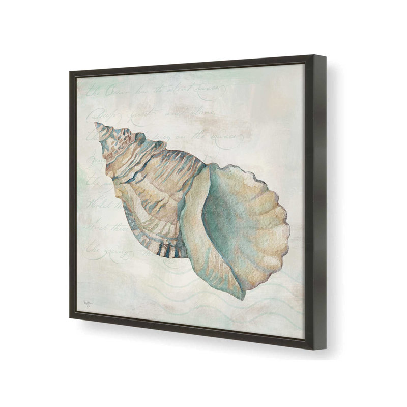 «Seashells II» par Mollie B., reproduction d'art, 12 W x 12 H, Black, Impression encadrée