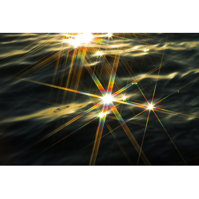 Ocean Sunstars by Oluolu3 - No Frame Print on Canvas