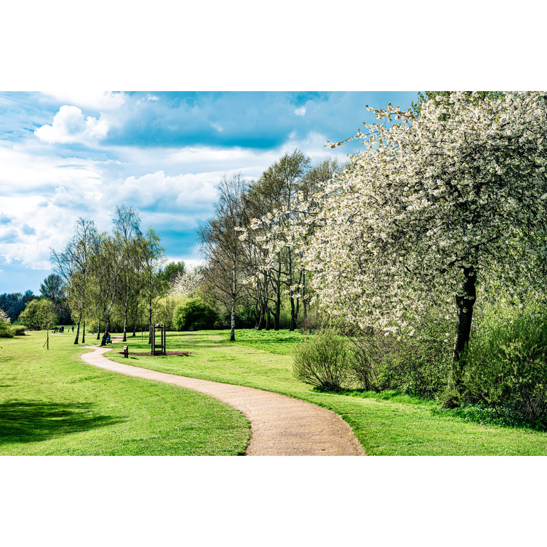 Walking Path Along In Park von CHUNYIP WONG - Kunstdrucke ohne Rahmen auf Leinwand