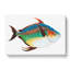 Opah Fish by Edward Donovan - Wrapped Canvas-55360476