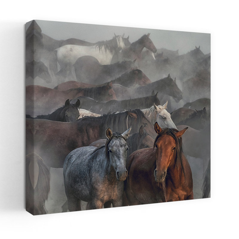 Courir, chevaux sauvages, art contemporain abstrait cheval rustique, faune, H 24 po x l 24 po