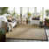 Wininger Indoor / Outdoor Rug
